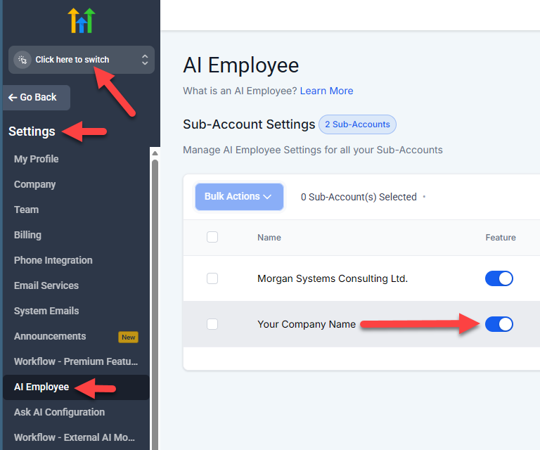 HighLevel AI Employee sub-account feature toggle