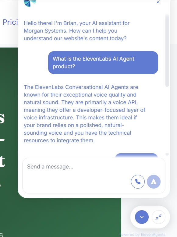 Screenshot of the ElevenLabs voice agent widget open mid-conversation on the Morgan Systems website on desktop